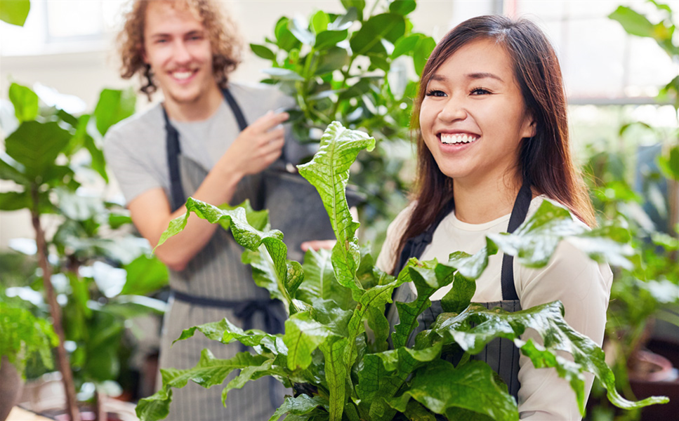 BAZLE’S JOB-BOOSTER - KOMM INS TEAM!