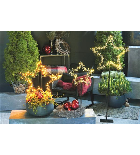 LICHTBLICKE IM WINTER-GARTEN!