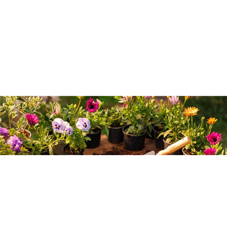 Buch des Monats: Januar!