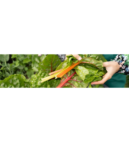 Buch des Monats: März!