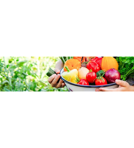 Buch des Monats: April!