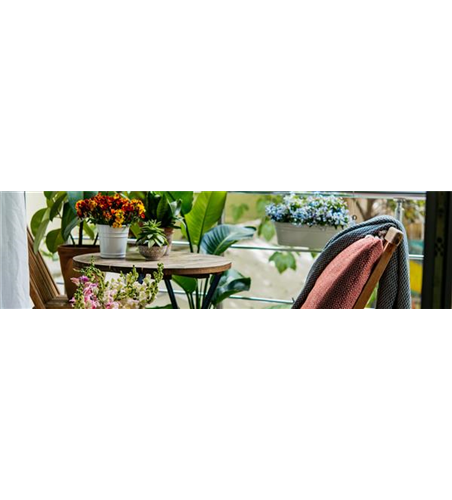 Buch des Monats: Mai!