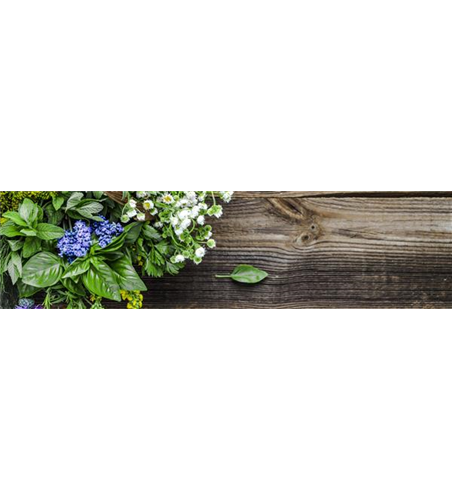 Buch des Monats: Juni!