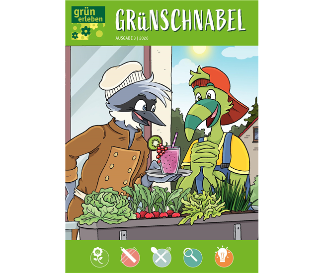 Ausgabe 3 2026