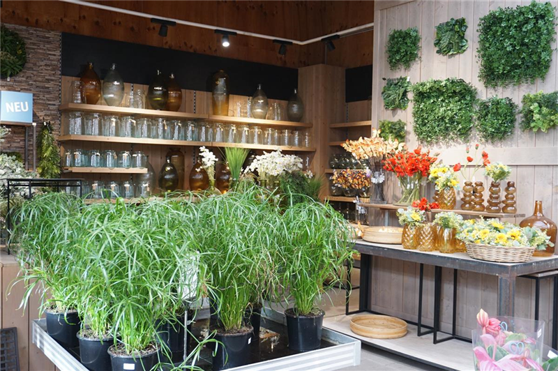 Zimmerpflanzen zum Verlieben im Bazle Gartencenter in Gppingen