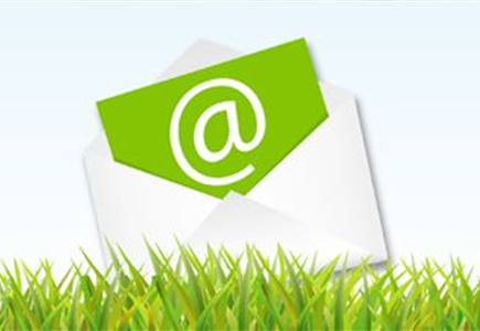 NEWSLETTER NEWSLETTER