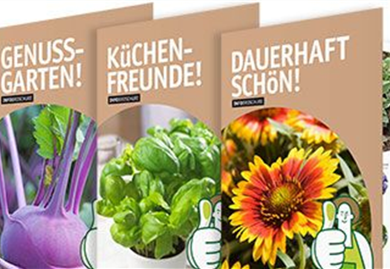 INFO-BROSCHÜREN INFO-BROSCHÜREN