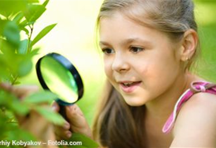 GRÜNSCHNABEL GRÜNSCHNABEL