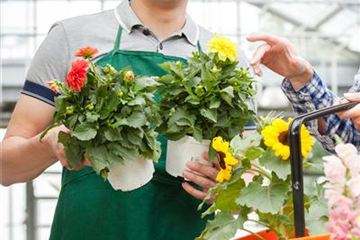 Stellenangebote Stellenangebote