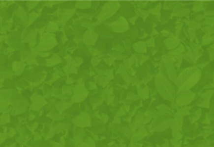 Bazle Vorteilskarte Bazle Vorteilskarte