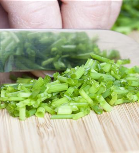 WAS WÄRE DER KRÄUTERGARTEN OHNE FRISCHE KRÄUTER?